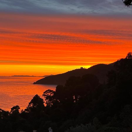 Magnifique Villa Neuve Vue Mer กาวาแลร์-ซูร์-แมร์ ภายนอก รูปภาพ